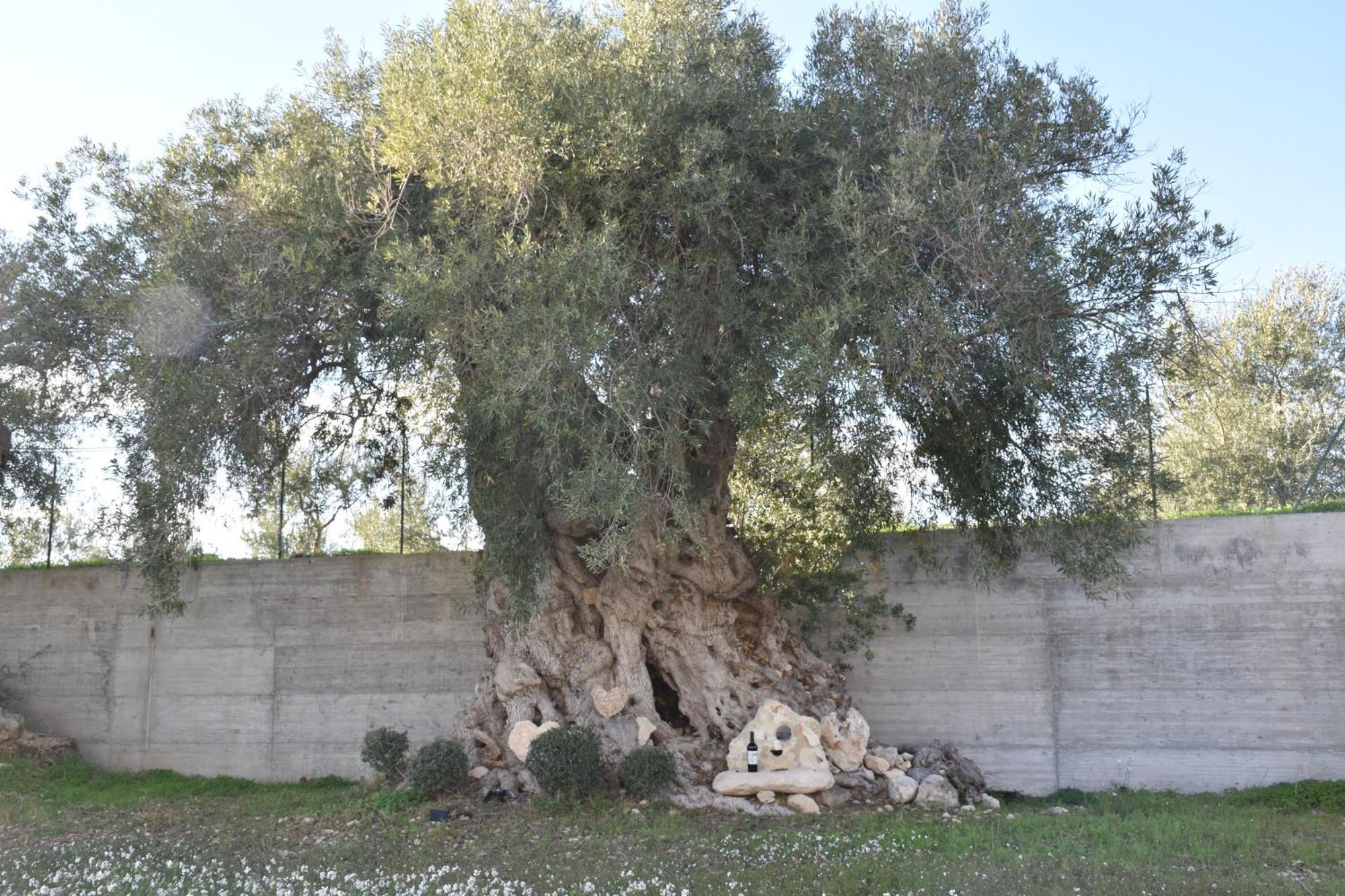 I Secolari Di Giulia Villa Avola Luaran gambar